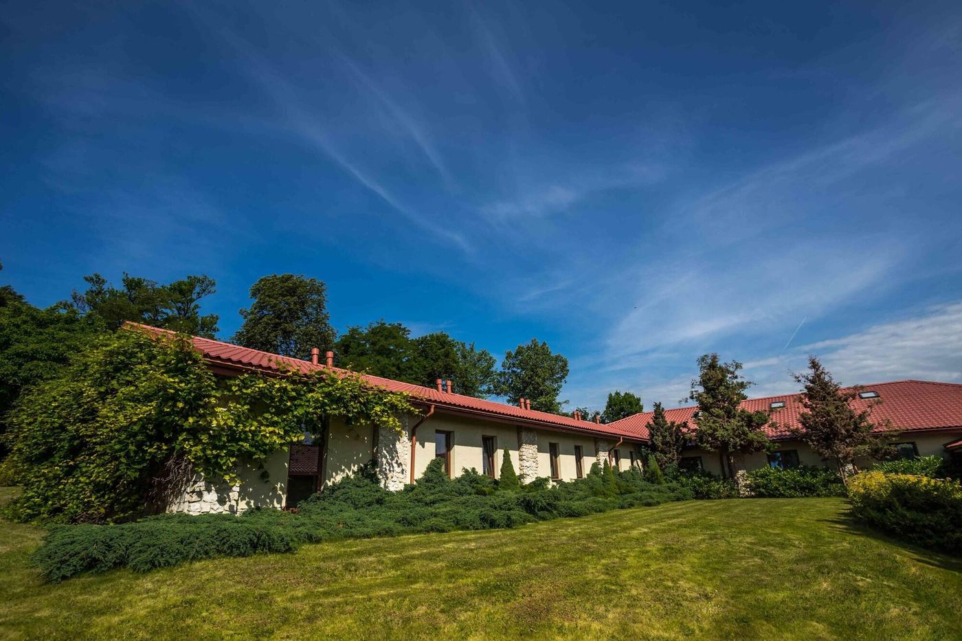 Dwor-w-Tomaszowicach-General-view-59