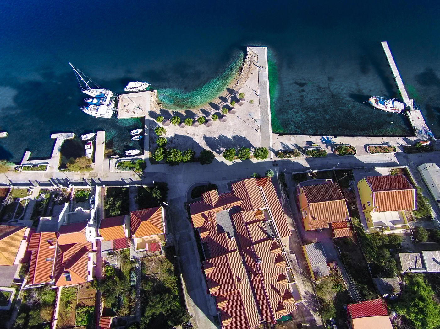 Spongiola-General-view-70