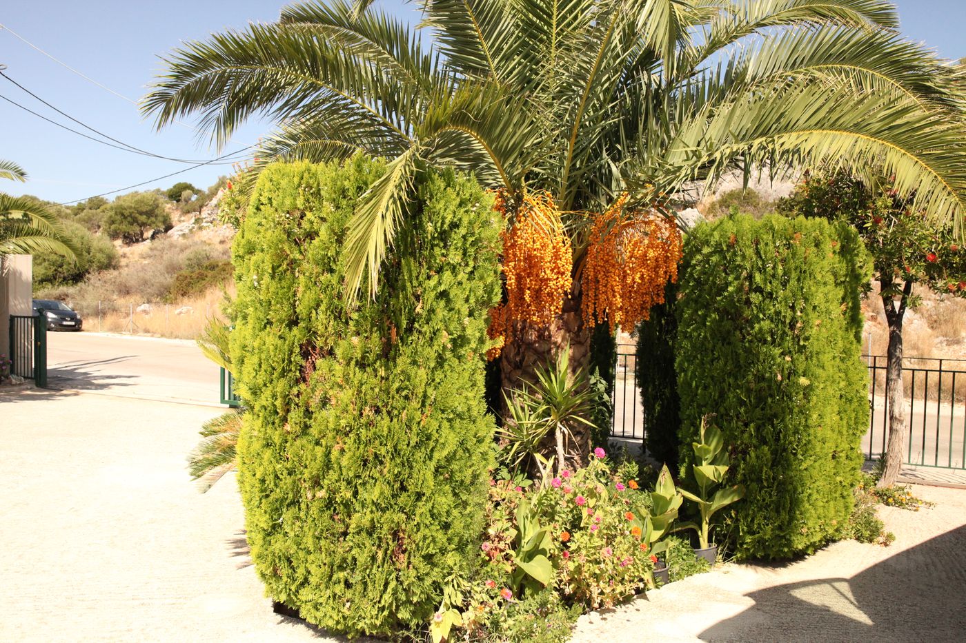 Agnantio-General-view-20