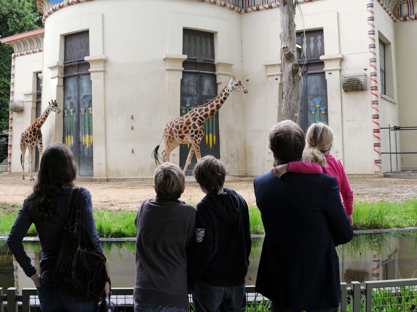 ibis Antwerpen Centrum-Belgium-ANTWERPEN-General view-5