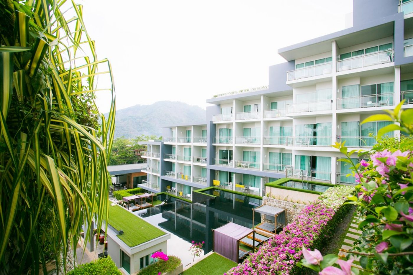 Sugar-Palm-Grand--Hillside-General-view-6