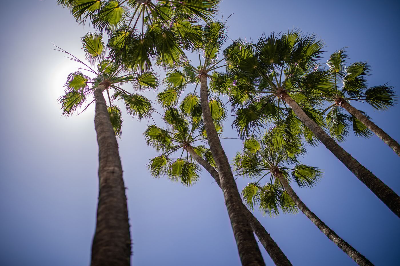 Servatur-Waikiki-Pool-19