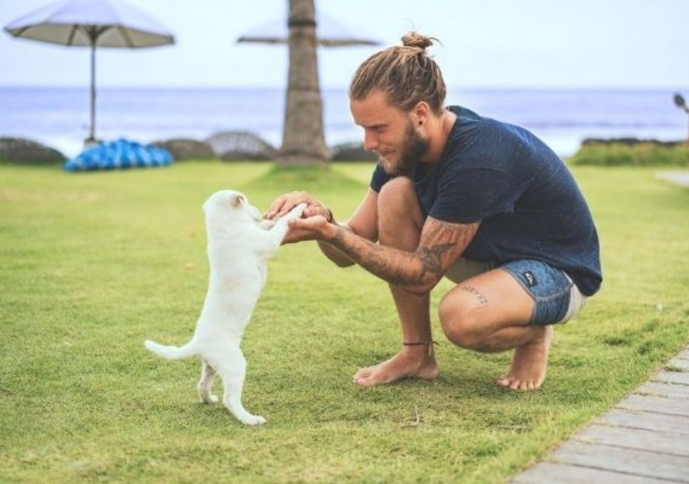 Carema-Garden-Village-General-view-21