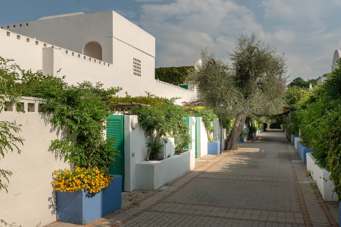 Maritalia Hotel Club Village-Italy-PUGLIA-General view-2
