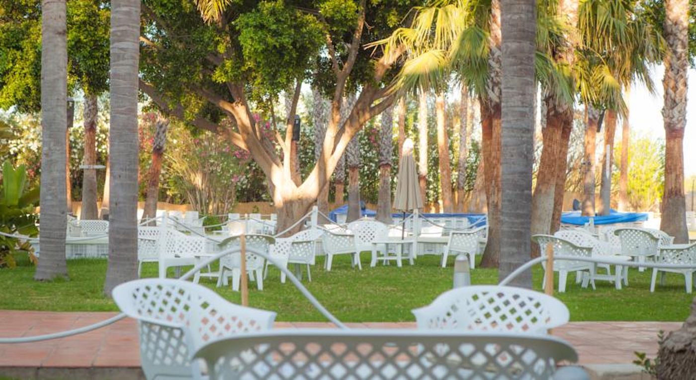 Wonderwall Music- Adults Only