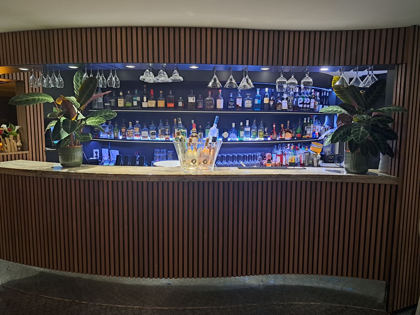 Splendid-Hotel---Spa-Nice-Bar-38