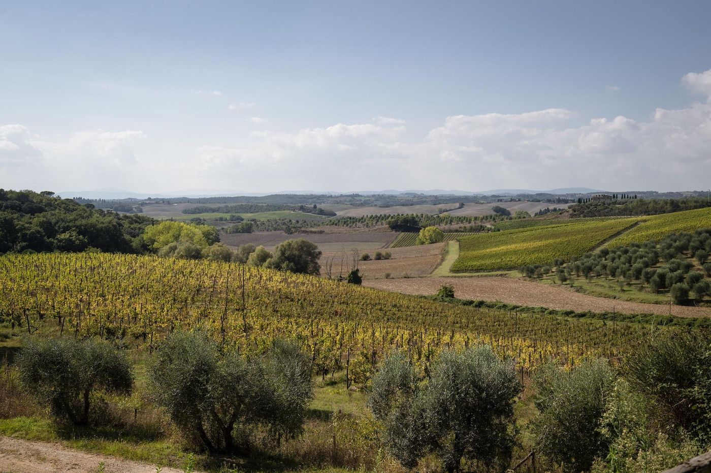 Villa-Curina-Resort-General-view-11