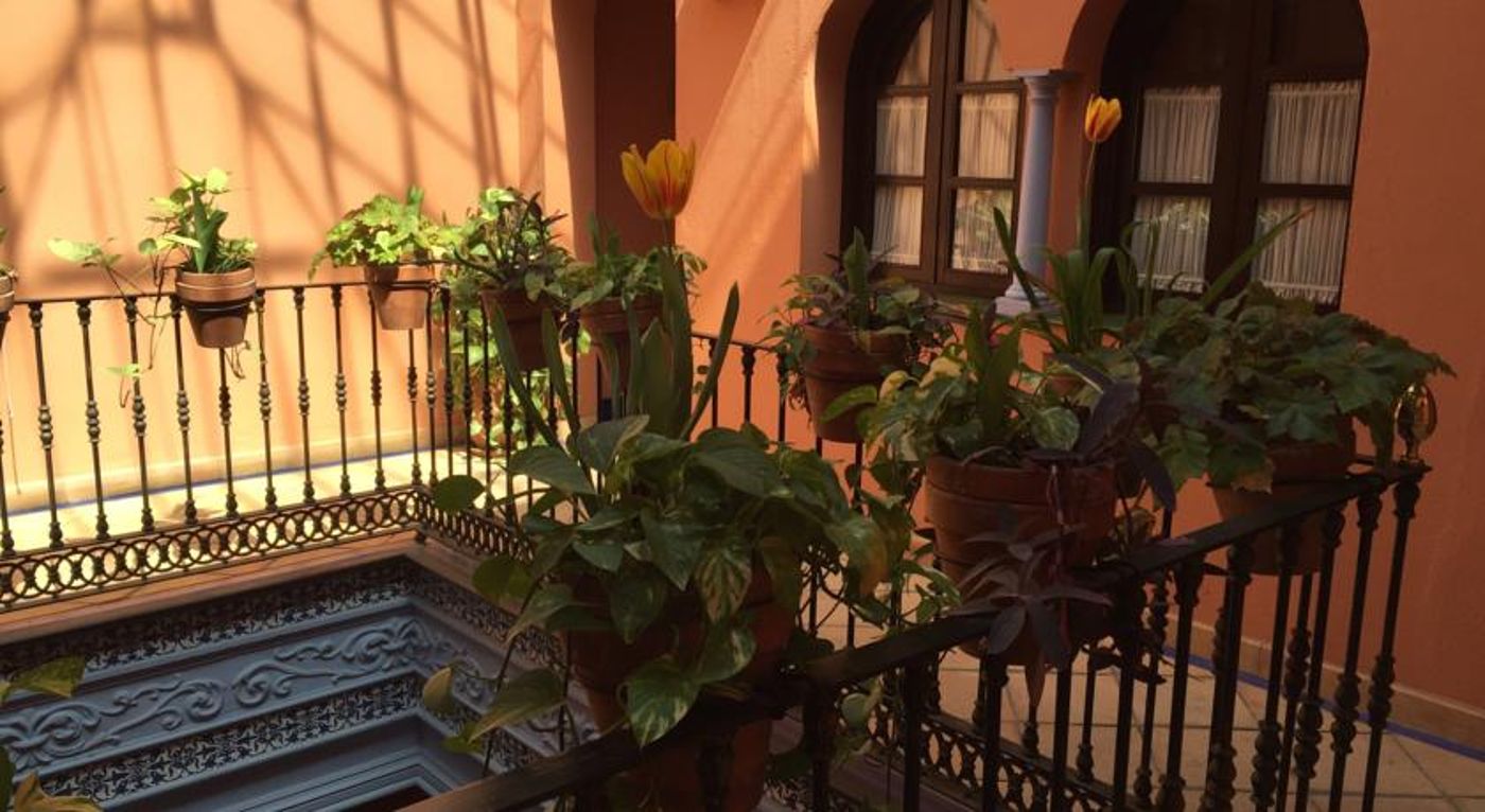 Patio de la Alameda - Spain - SEVILLA - General view - 3