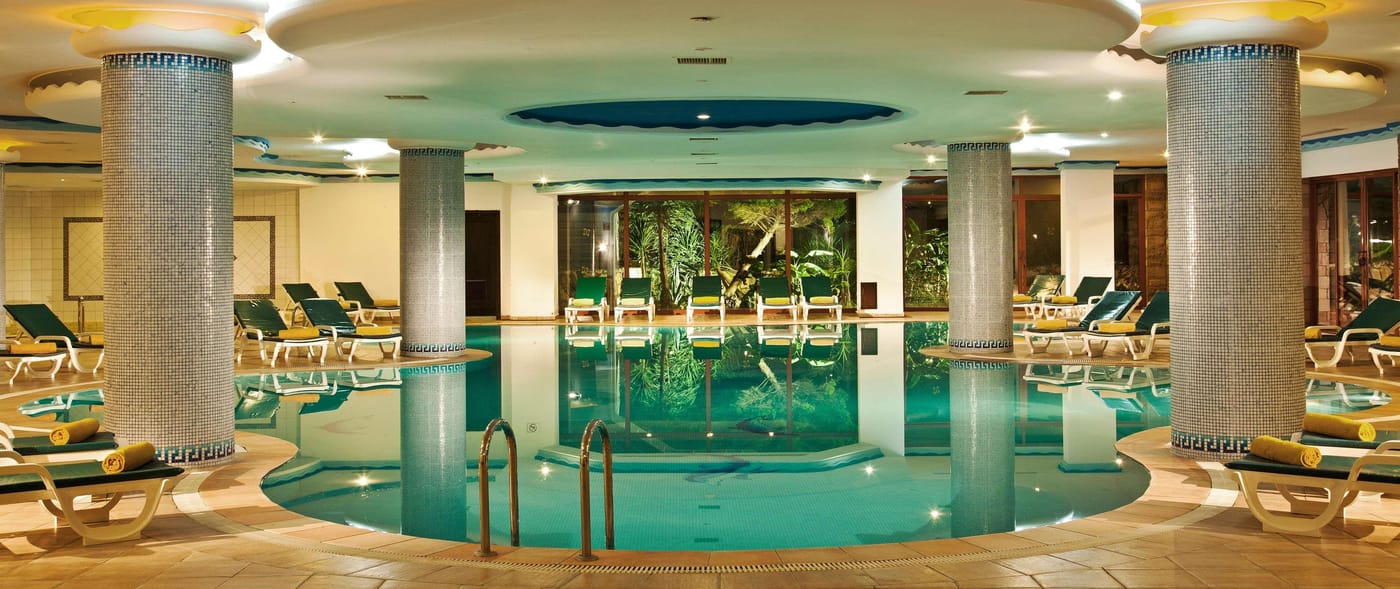 Papillon-Belvil-Pool-93