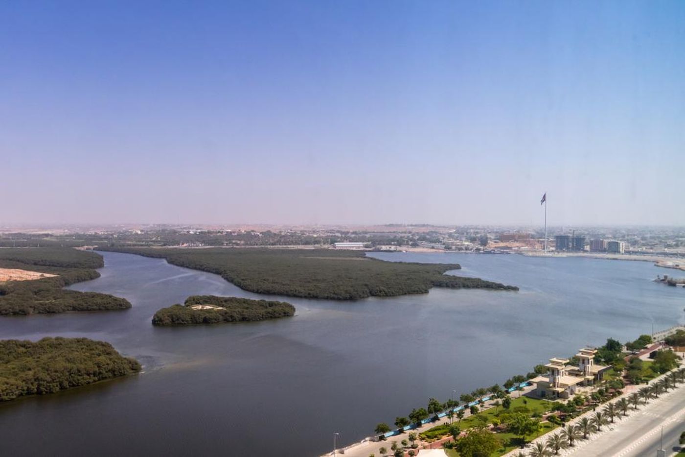 Mangrove by Bin Majid