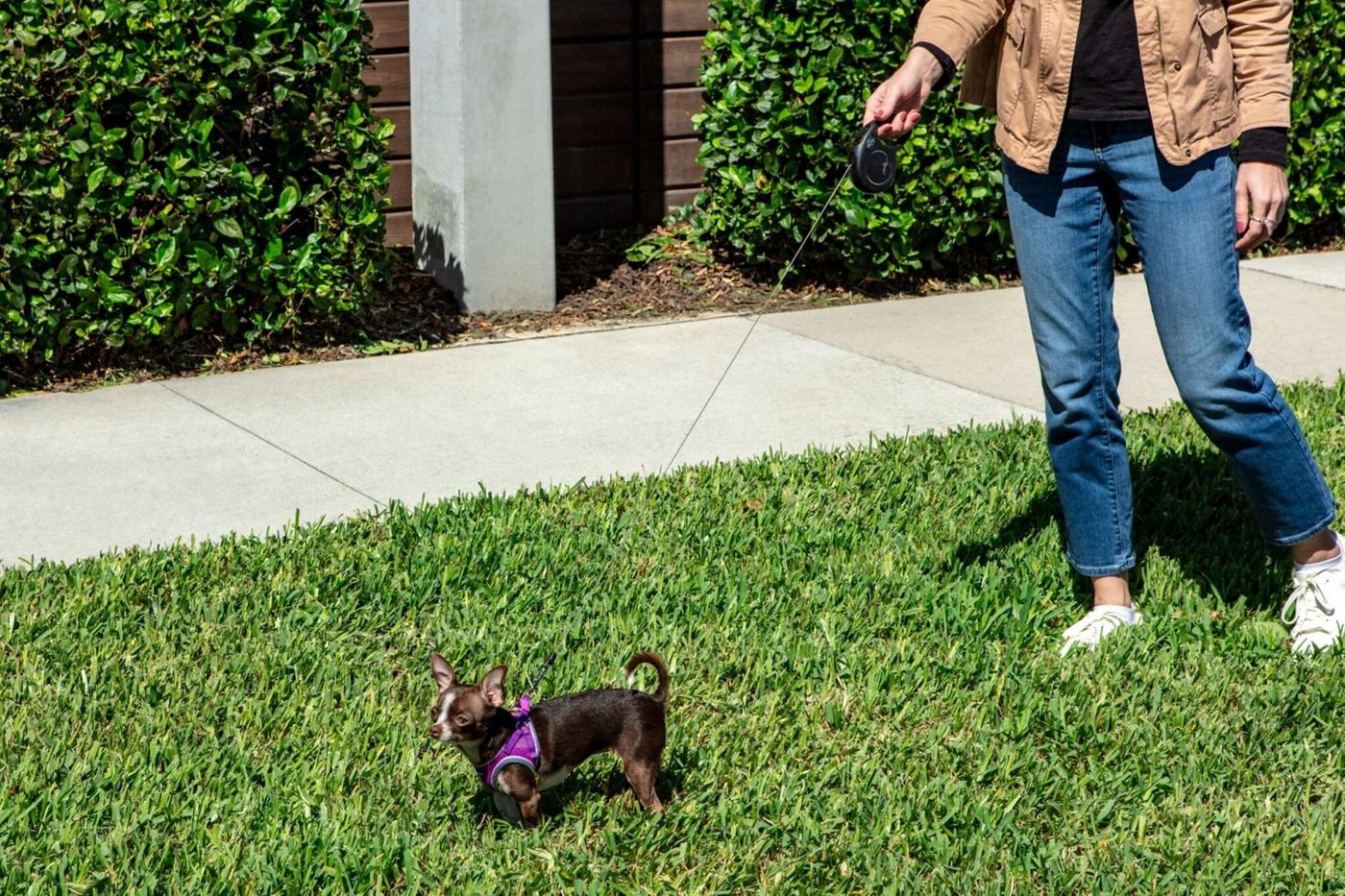 Aloft Orlando International Drive-United States-Orlando-General view-8