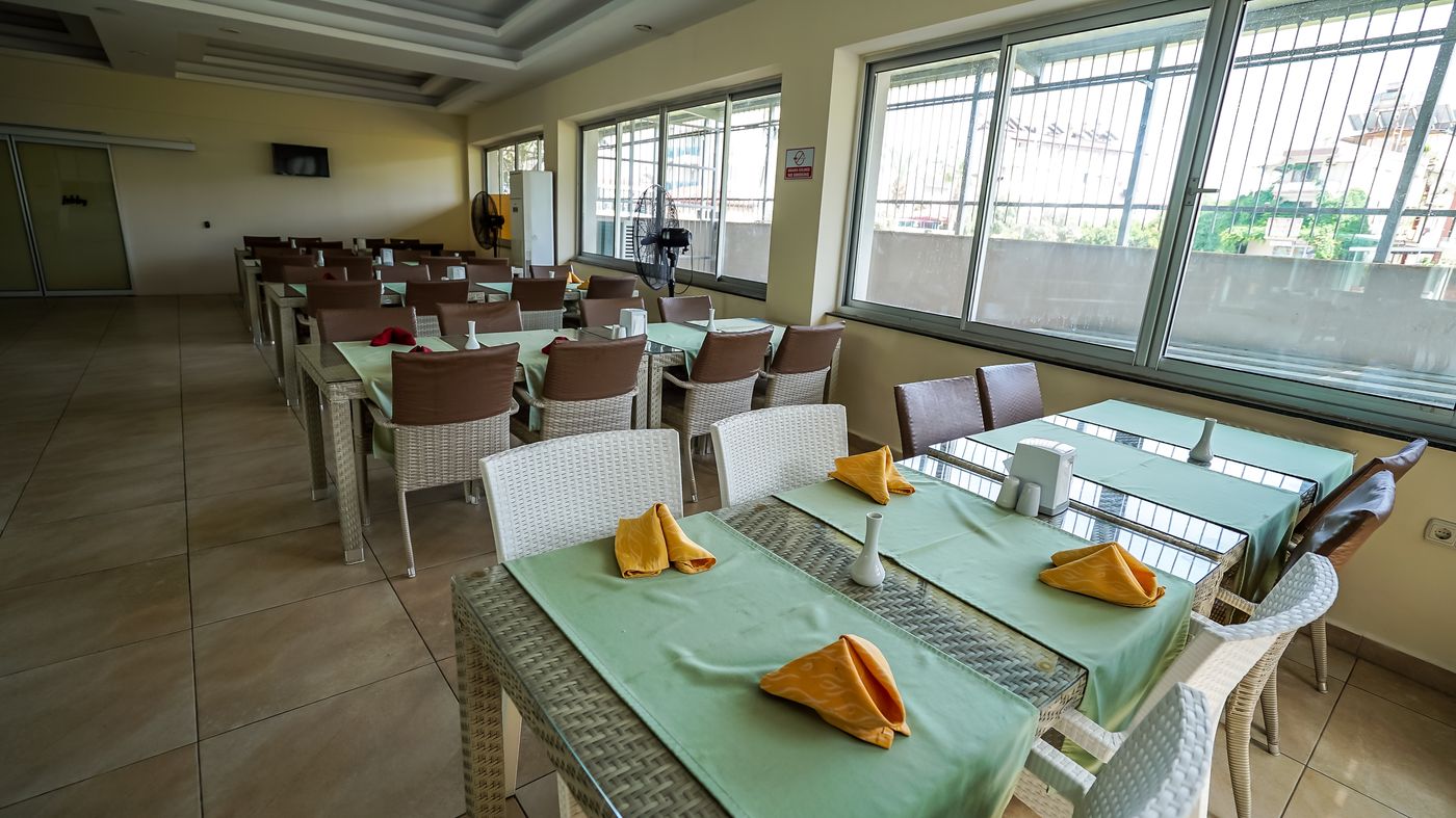 Catty Cats Garden Hotel