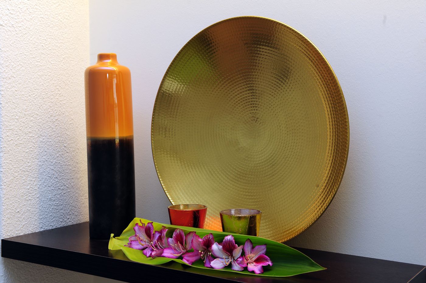 Dorisol-Florasol-Sports-and-Entertainment-56