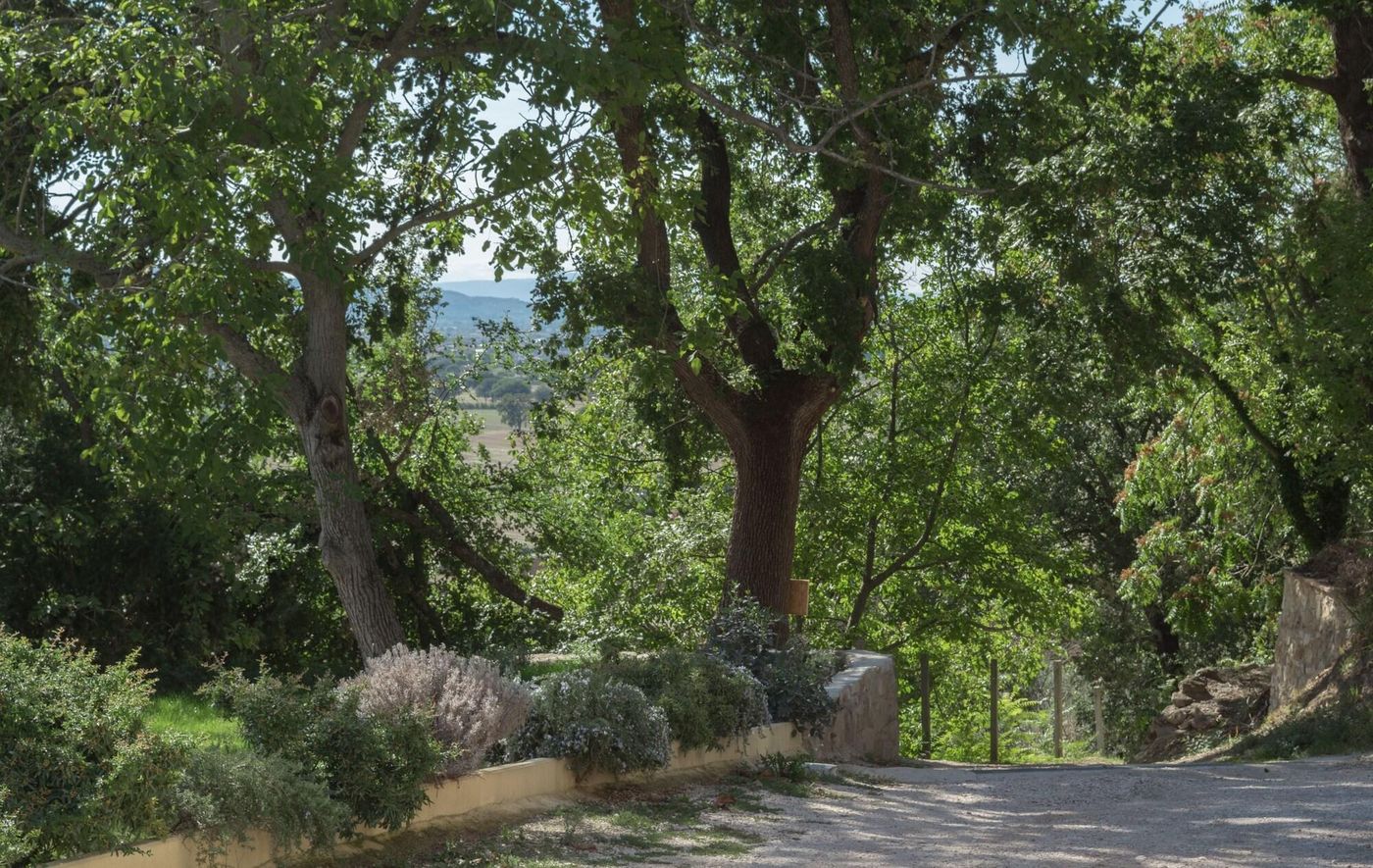B&B Cantico delle Creature-Italy-ASSISI-General view-7