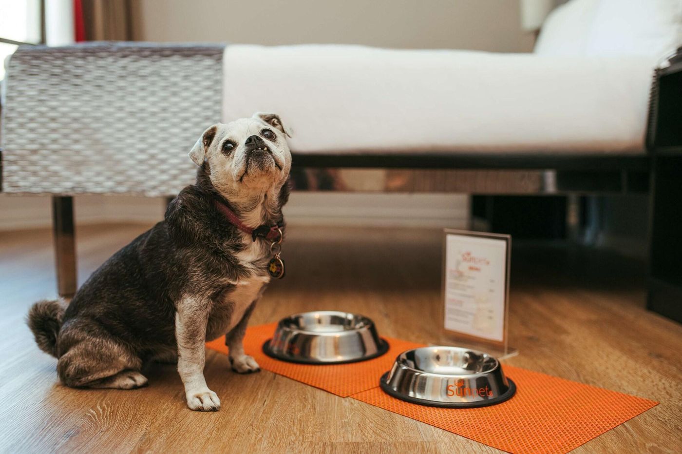 SunSquare-Cape-Town-Gardens-General-view-16