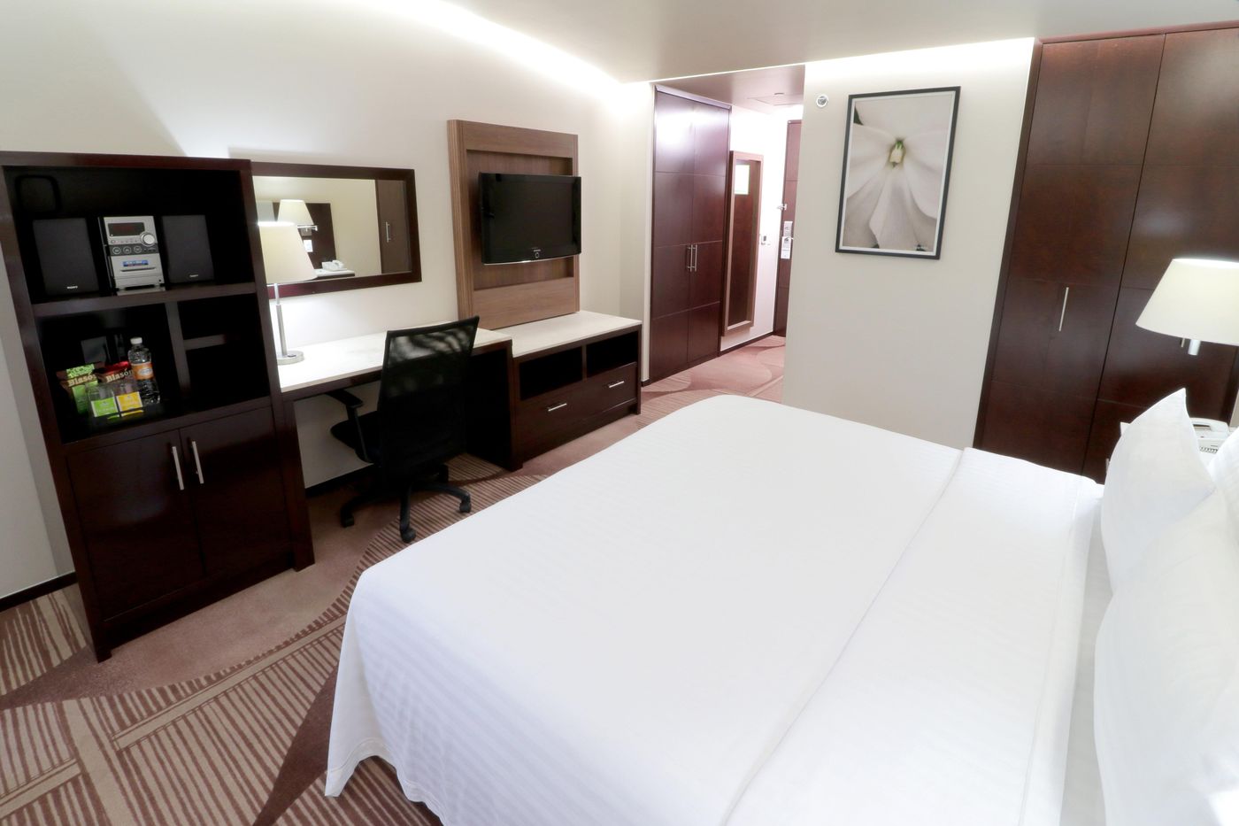 Holiday Inn & Suites Mexico Medica Sur-Mexico-Ciudad De Mexico-Room-8