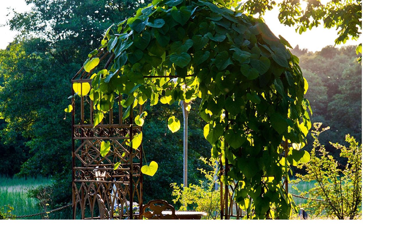 The-Lakeside-General-view-42