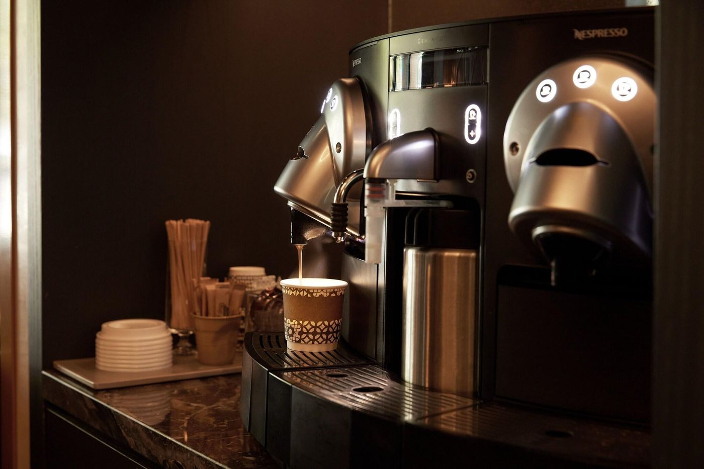 Loden-General-view-18