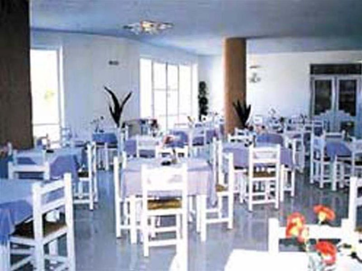 Lambi-Restaurant-12