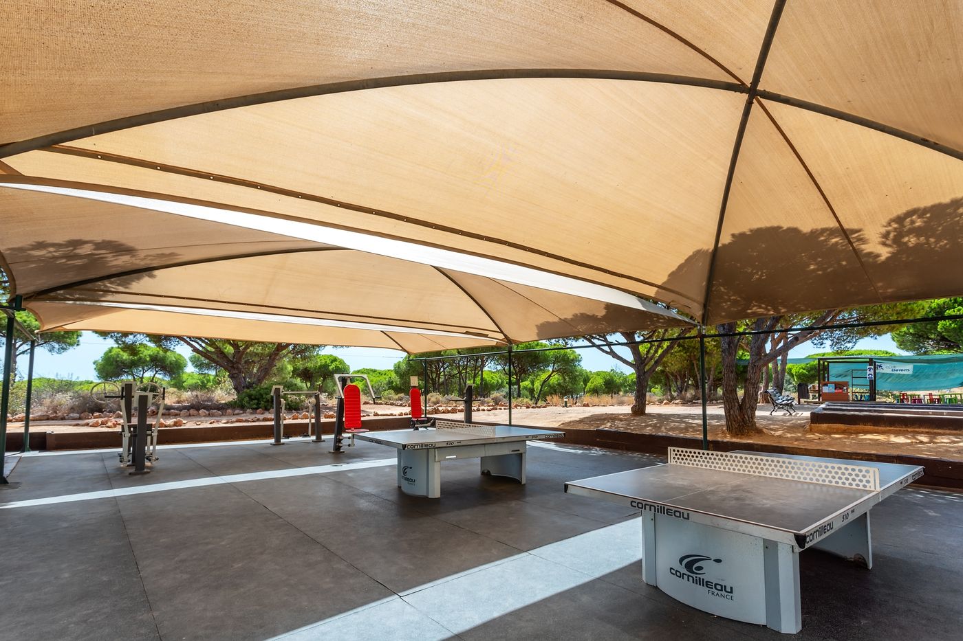 AP-Adriana-Beach-Resort---Praia-da-Fal-sia---Albufeira-Sports-and-Entertainment-67