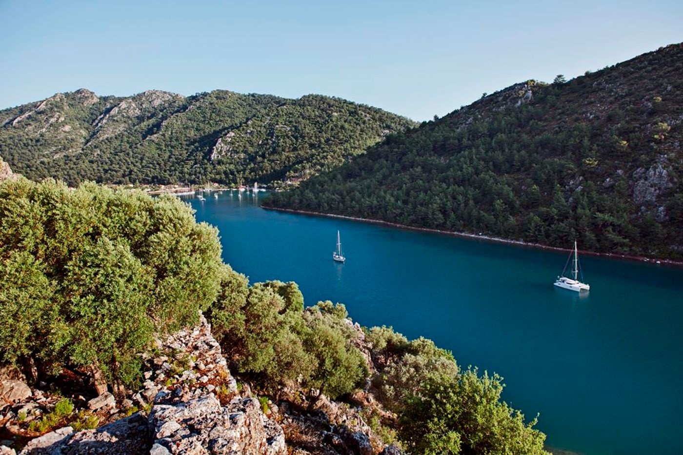 Marti-Hemithea-General-view-44