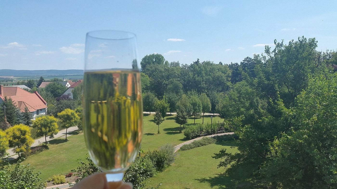 Abacus-Business---Wellness-Hotel-General-view-24