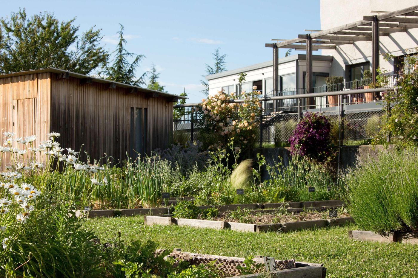 DoubleTree by Hilton Lyon Eurexpo - France - Saint Priest - General view - 8