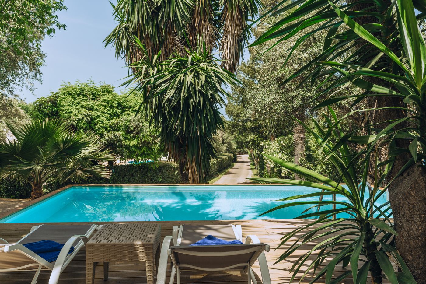 Mr---Mrs-White-Corfu-Room-7