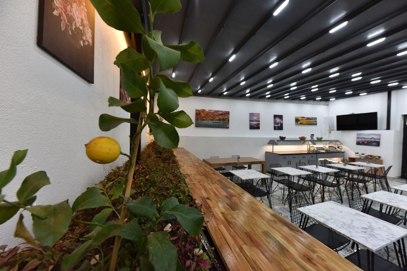 Almina-Inn-Hotel-Lobby-11