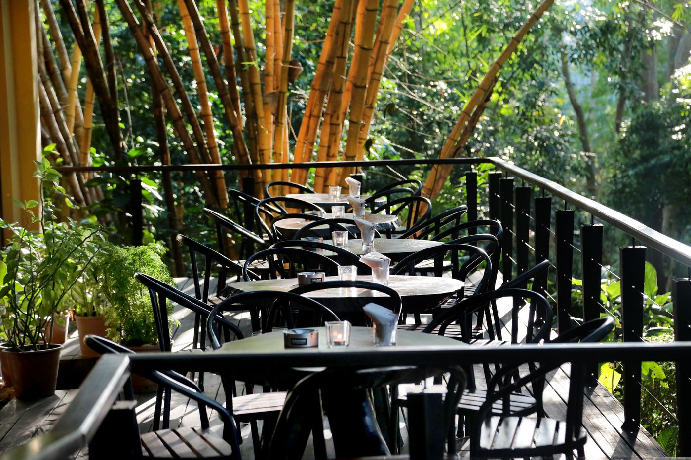 Grand-Udawalawe-Safari-Resort-Bar-13