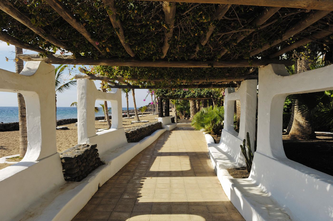 VIK-Hotel-San-Antonio-Terrace-45