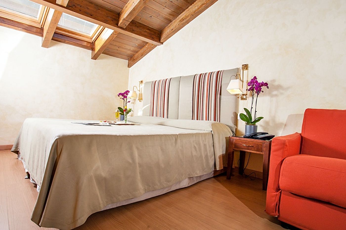 Camelia-General-view-5