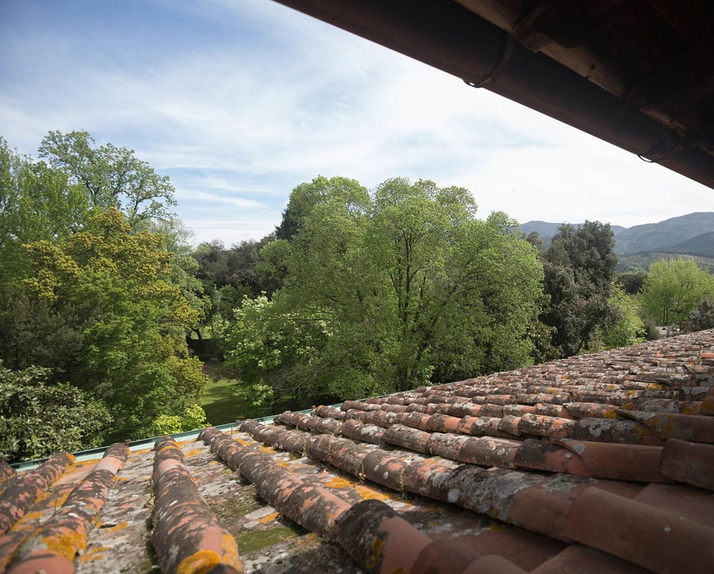 Villa La Principessa-Italy-Lucca-General view-10