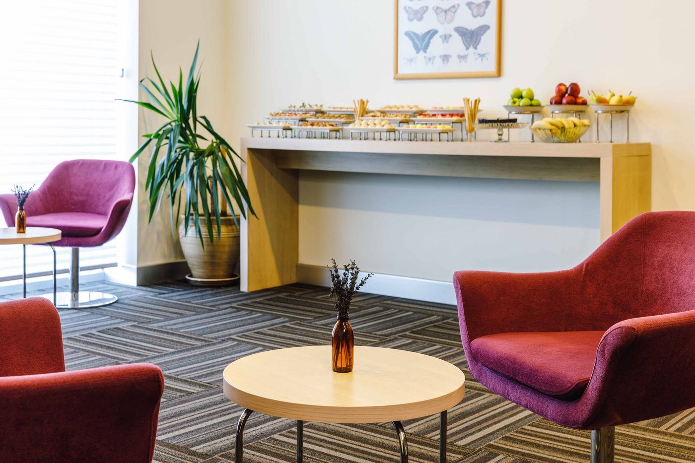 ibis Istanbul Esenyurt-Turkey-ISTANBUL-Conferences-3