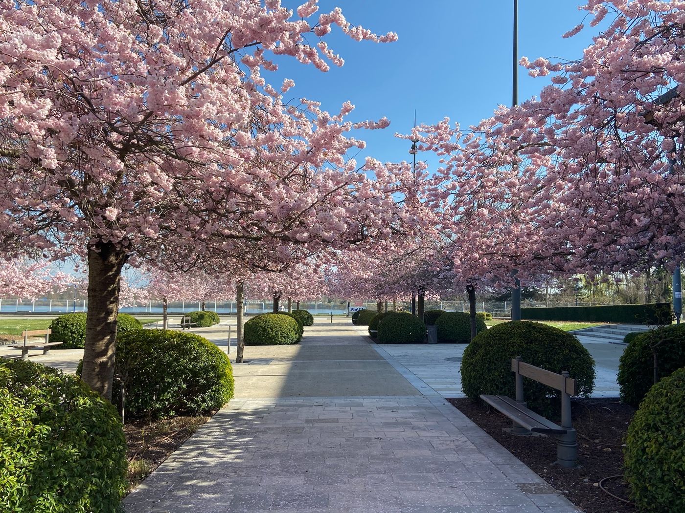 Le Divona-France-Divonne-les-Bains-General view-1