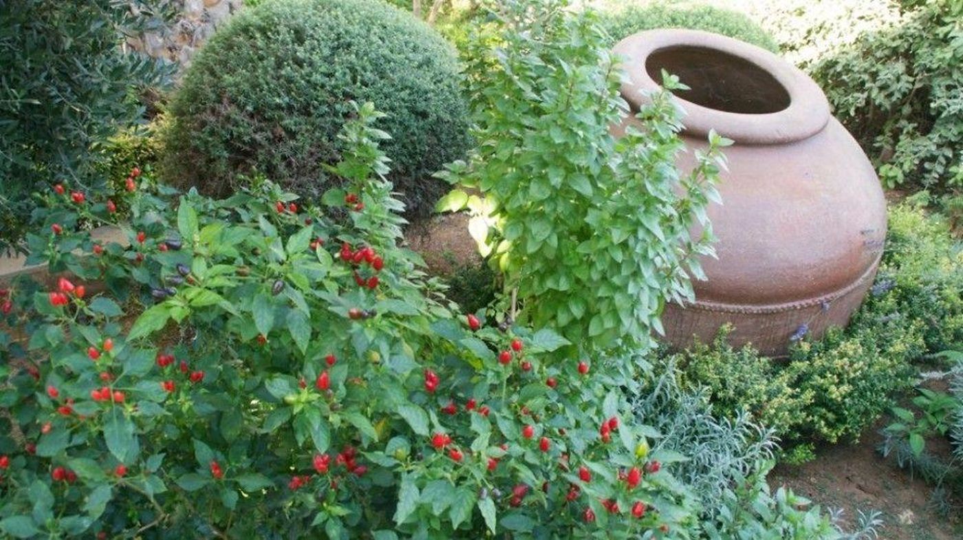 Hylatio-Tourist-Village-General-view-27