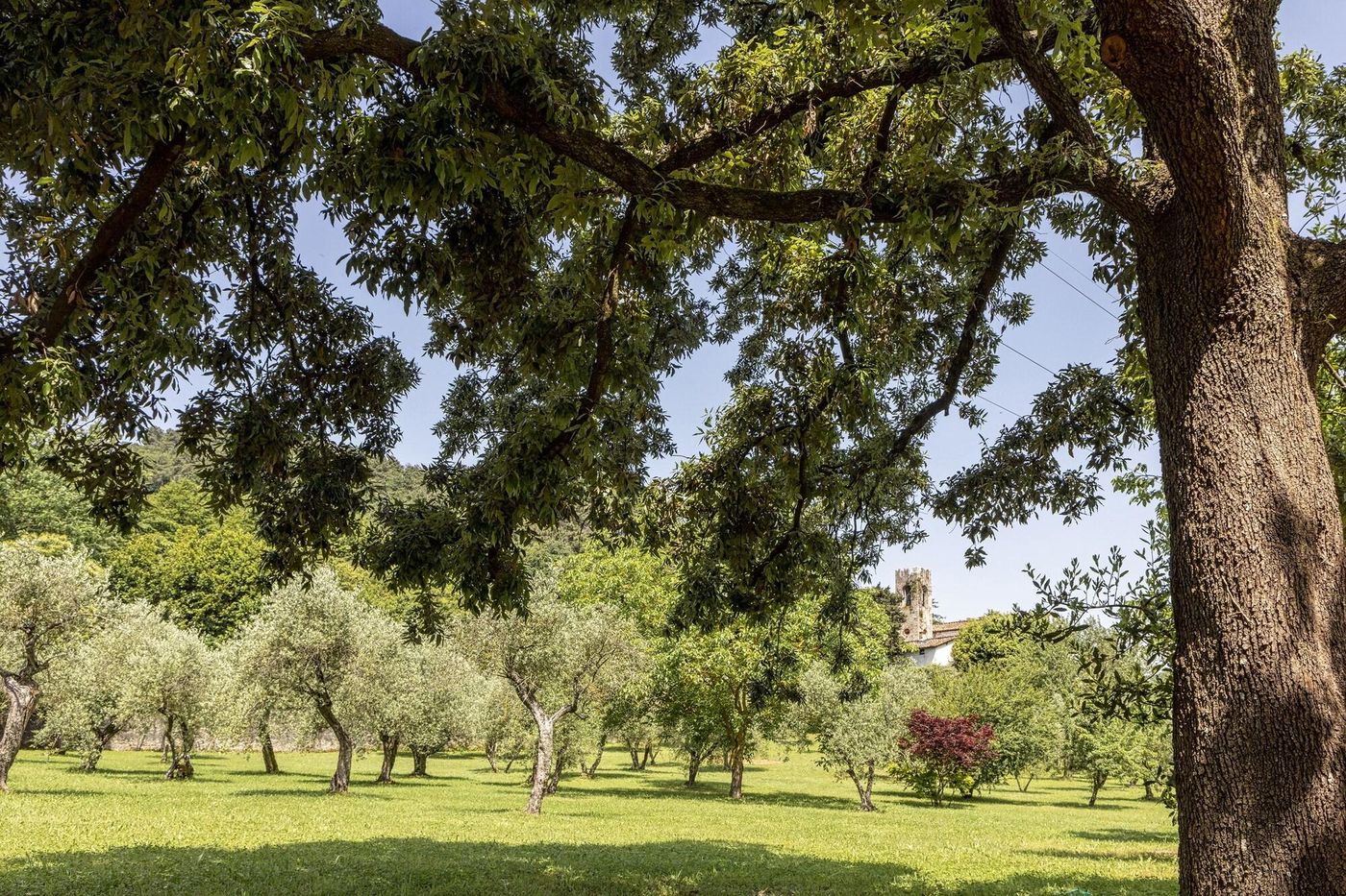 Hotel-Villa-San-Michele-General-view-44