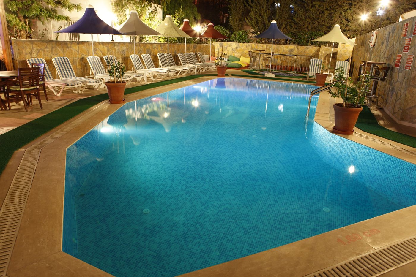 Lemon-Tree-General-view-6