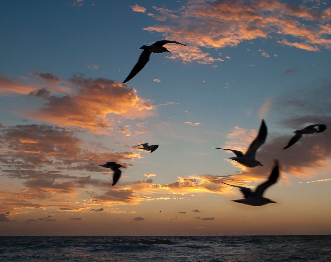 Leslie Hotel Ocean Drive - United States - Miami Beach, FL - General view - 5