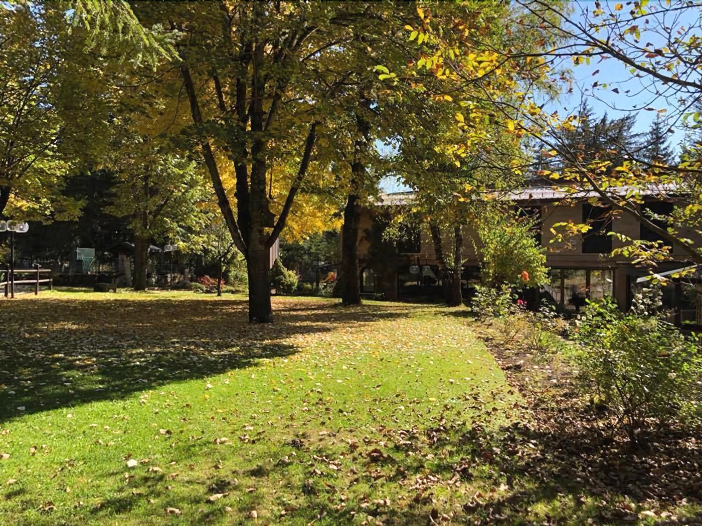 LH-Albergo-il-Picchio-General-view-19