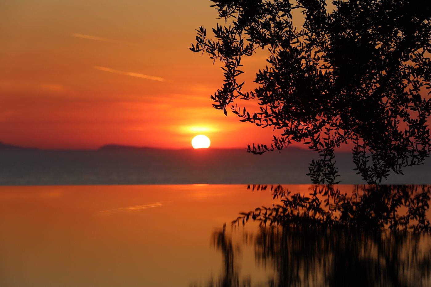 Villa-Fiorella-Art-Pool-91