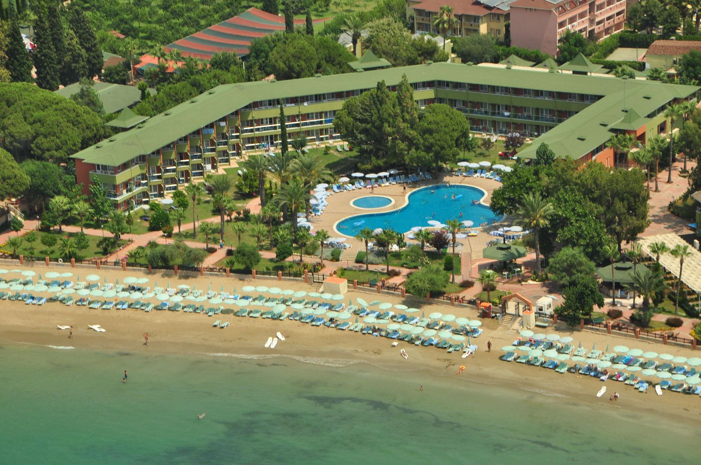 Lonicera--World-General-view-7