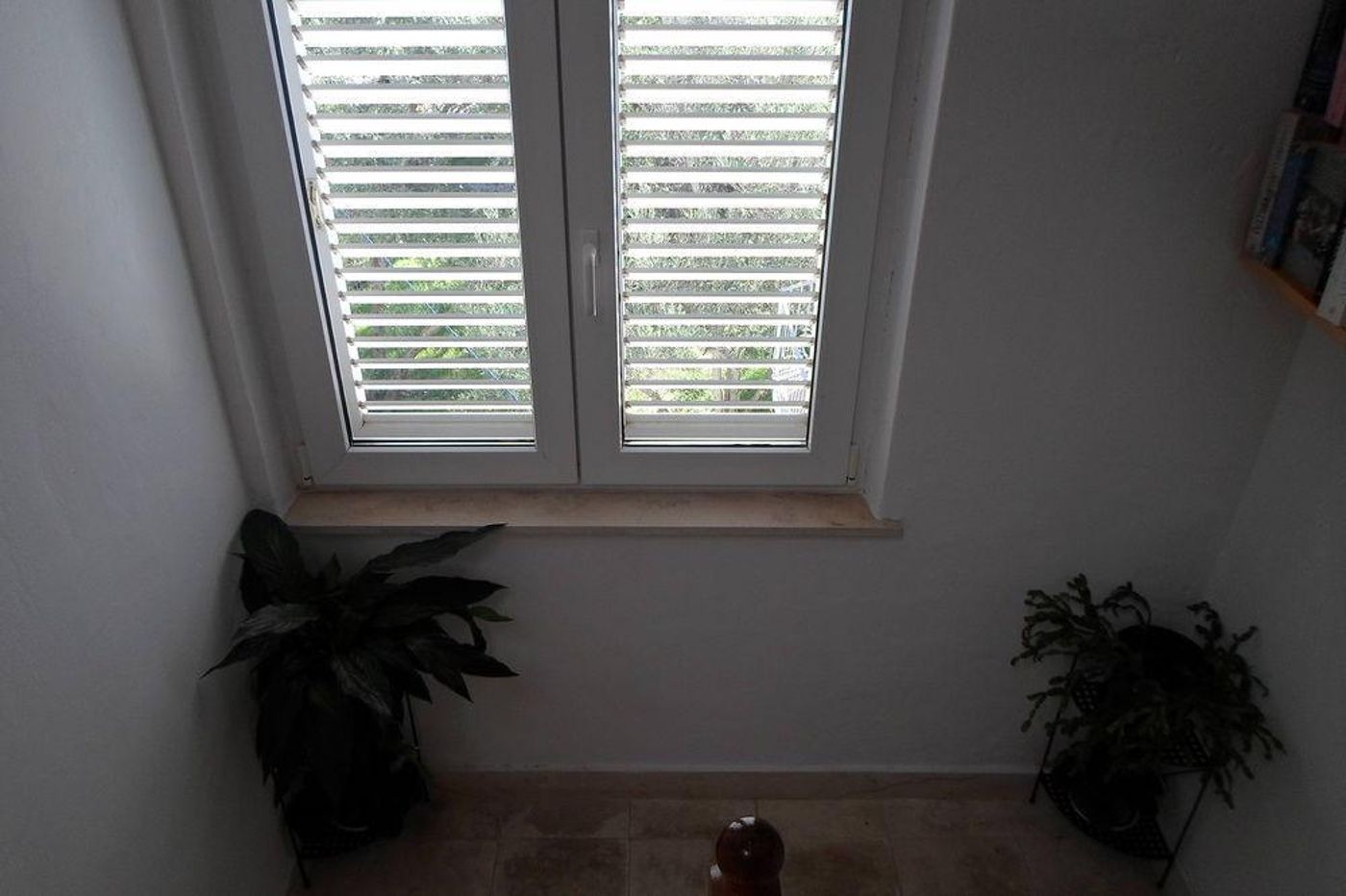 Pansion-Lovac-General-view-14