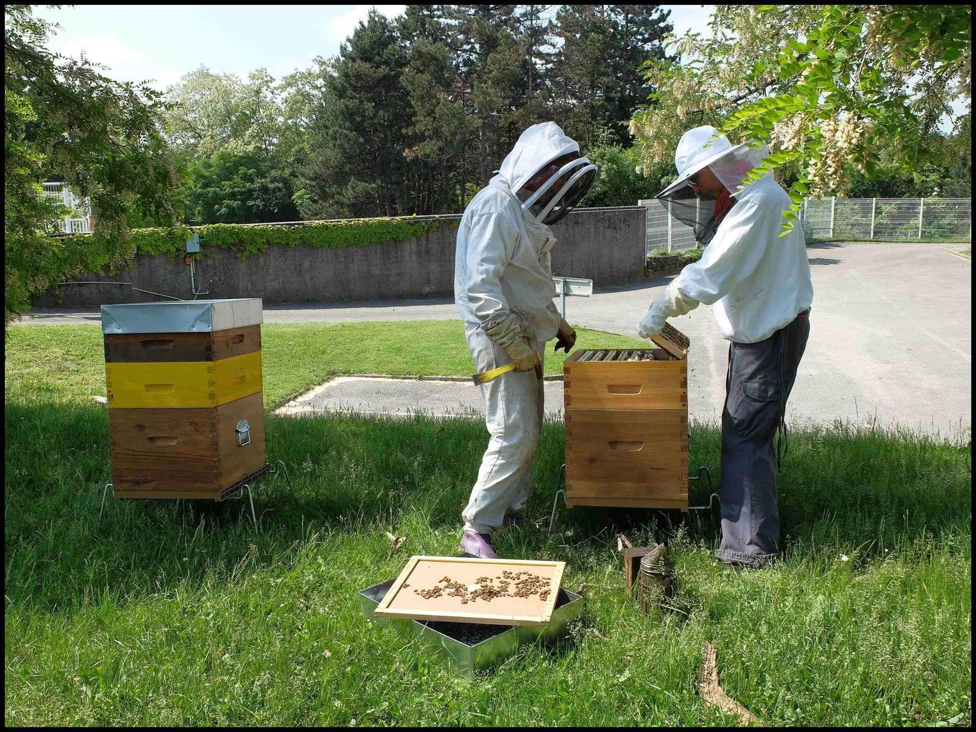 PREMIERE CLASSE LYON NORD-Dardilly - France - Dardilly - Sports and Entertainment - 10