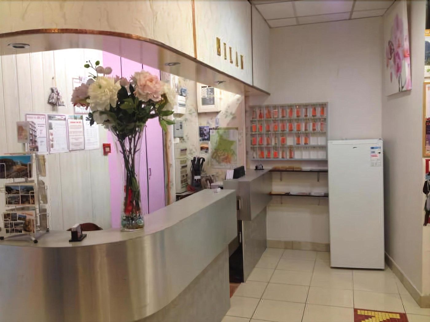 Hôtel Le Milan-France-LOURDES-Lobby-4