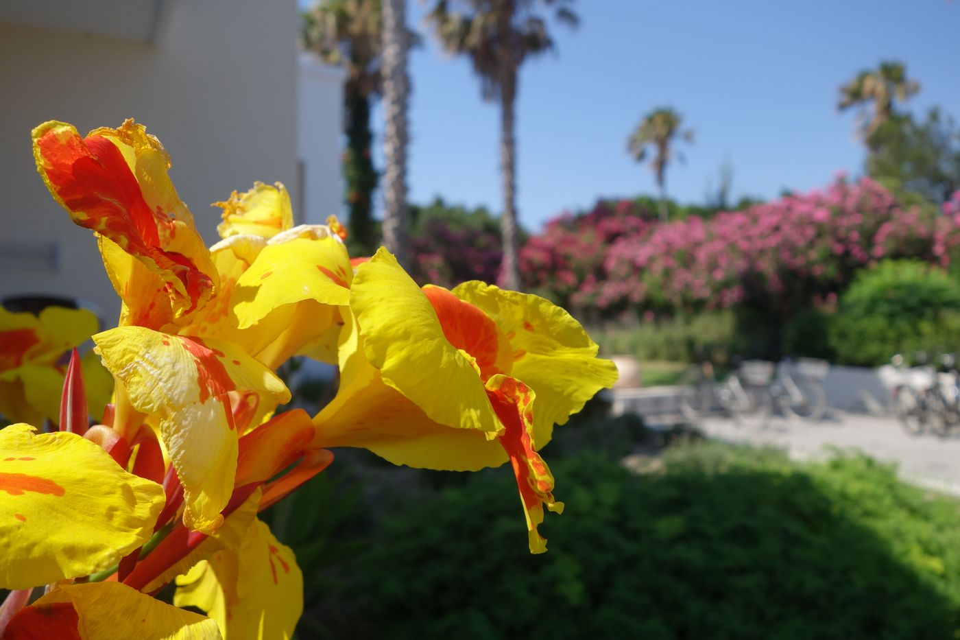 Andromeda-General-view-23