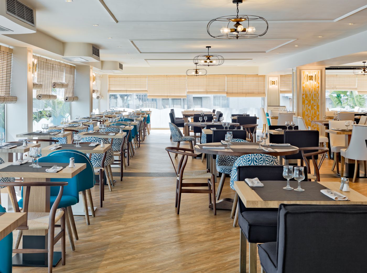 H10 Delfin - Adults Only