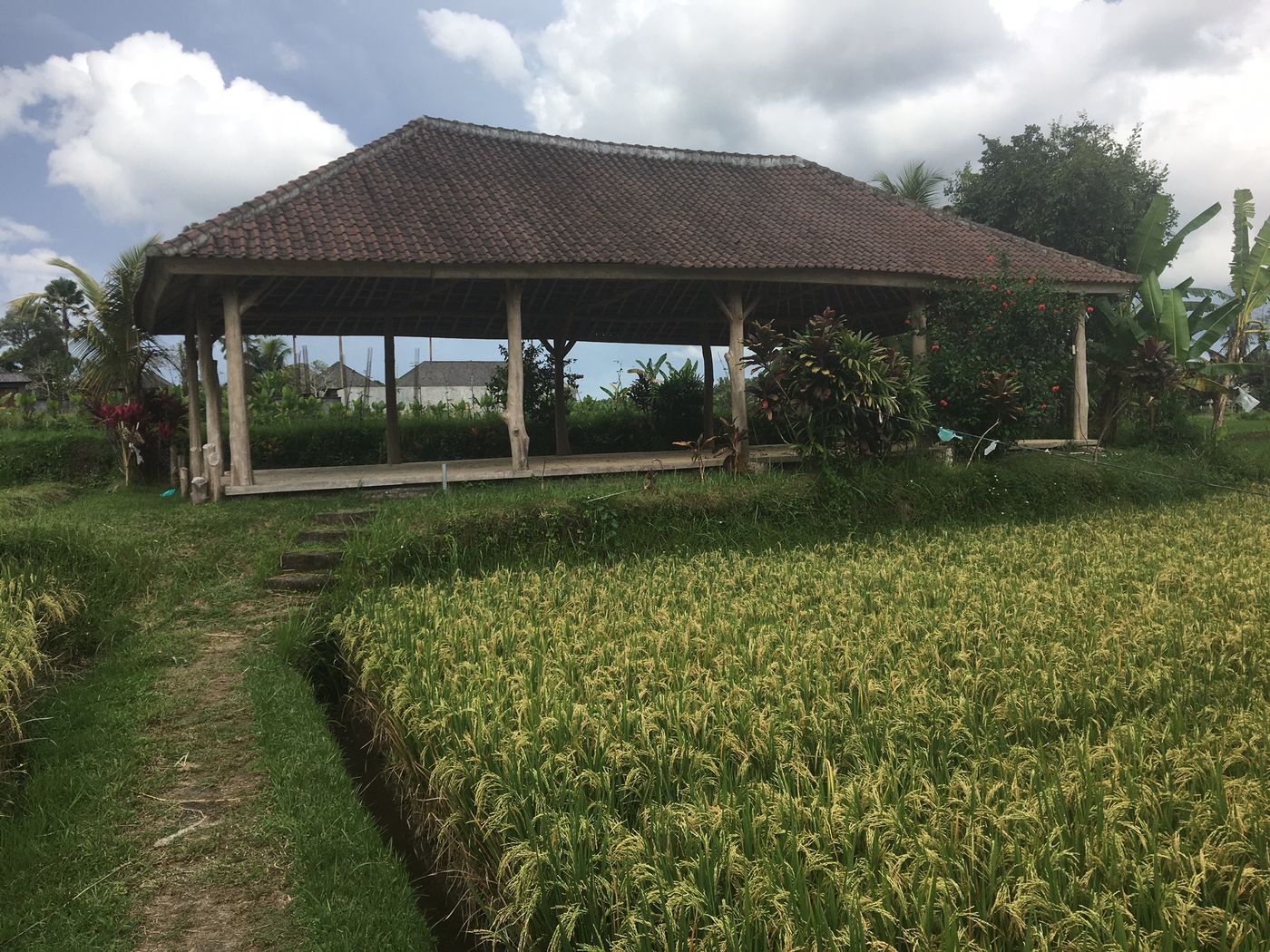 MATHIS Retreat Ubud-Indonesia-Bali-General view-10