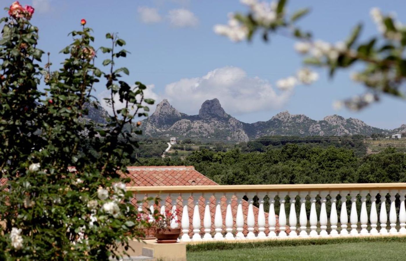 Pausania Inn-Italy-TEMPIO PAUSANIA-General view-2