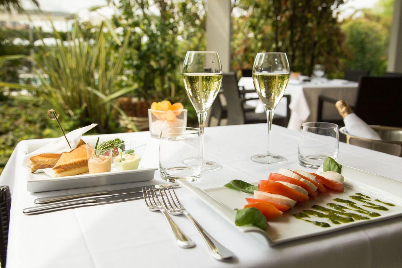 Palace Hotel Desenzano-Italy-Desenzano del Garda BS-Restaurant-10